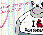 oui_le_chat[1].gif